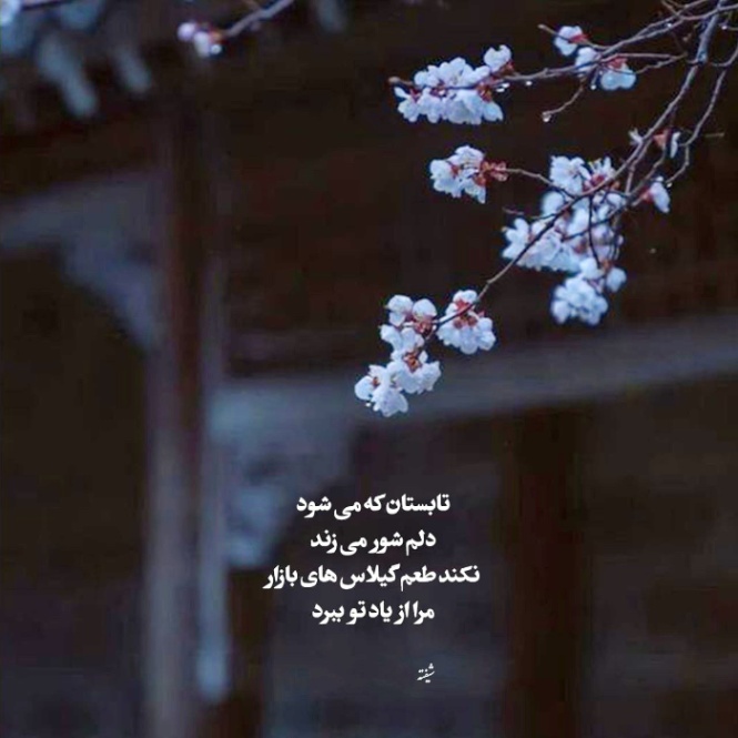 دانلود آهنگ سیاهی علی سورنا مسلک دانیال ناجی نوید اپیکور از فارس ترانه